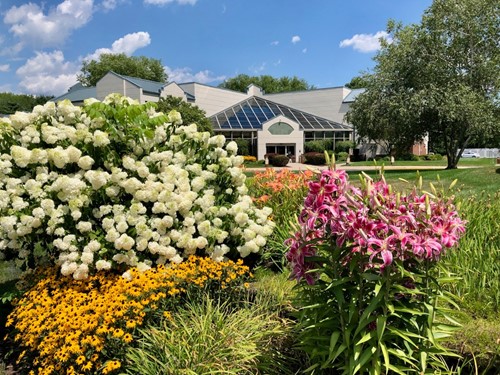 Livewell Connecticut