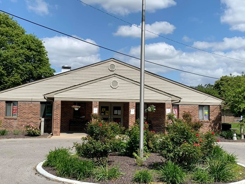 Autumn Meadows Of Cahokia