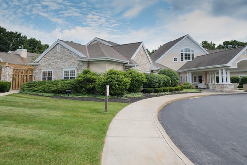 Peregrine at Clifton Park