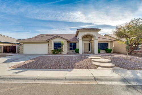 Alder Leaf at Casltegate