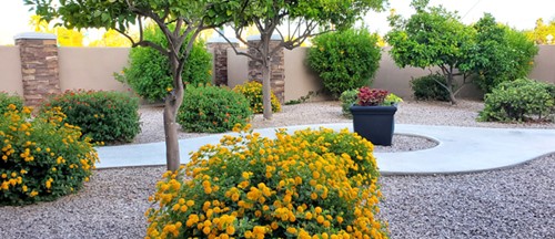 The Villas At Wilmot, Villa E