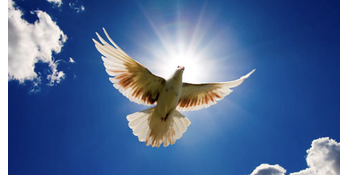 Agape Home - Elderly Care