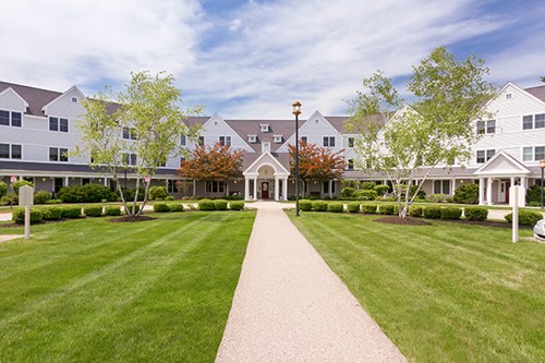 Brookdale Spruce Wood