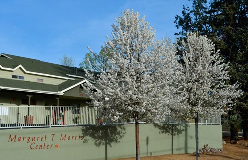 Margaret T Morris Center