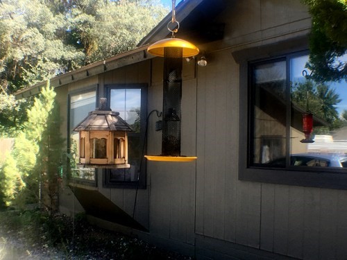 Pleasant Valley Care Home