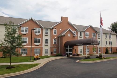 Forest View Apartments